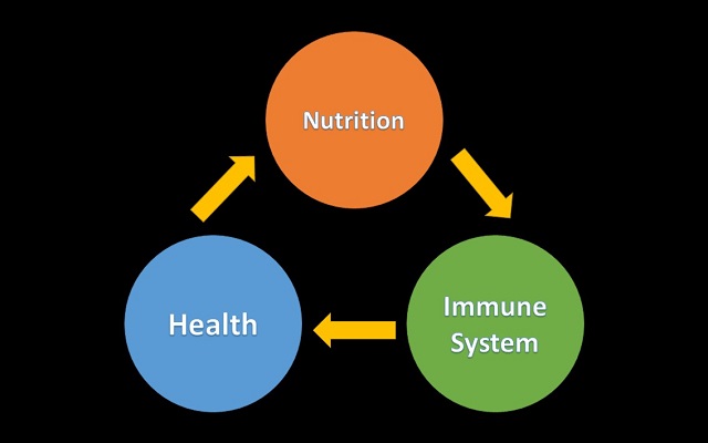 IMMUNE SYSTEM